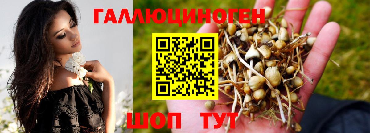 Новокуйбышевск  Псилоцибиновые грибы GOLDEN TEACHER  Вход с VPN 